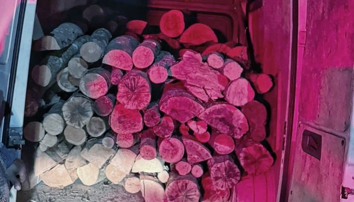 Material lemnos