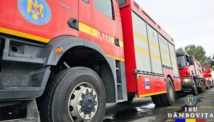 autoturism incendiu vegetație
