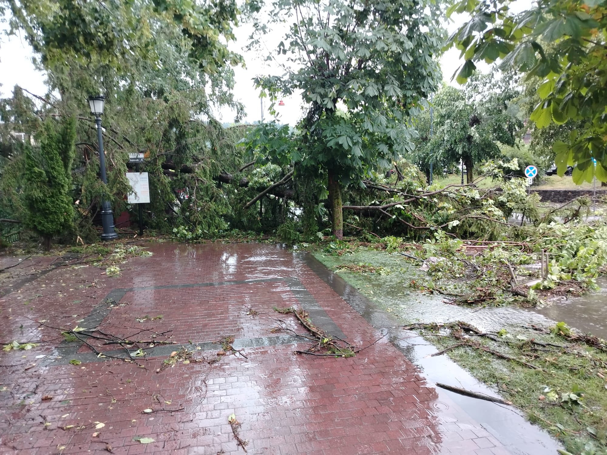 furtună sinaia 9 iulie pagube