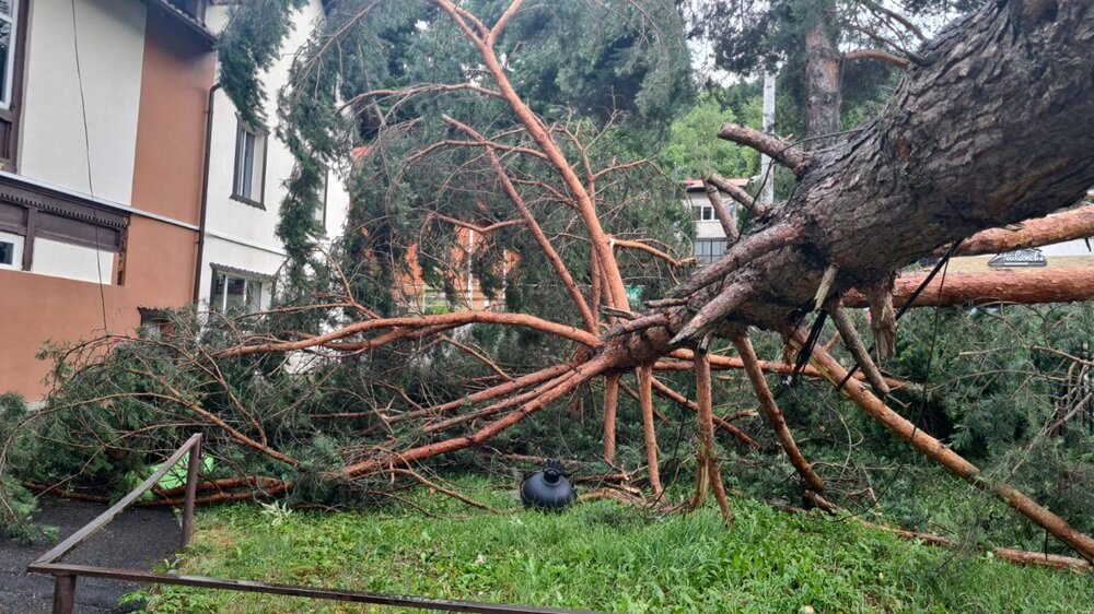 salvamont furtună sinaia