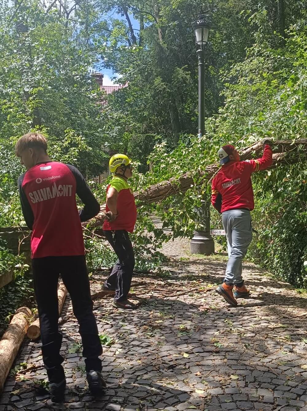 salvamont furtună sinaia