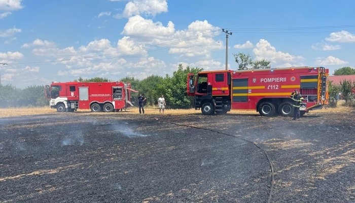 incendii de vegetație