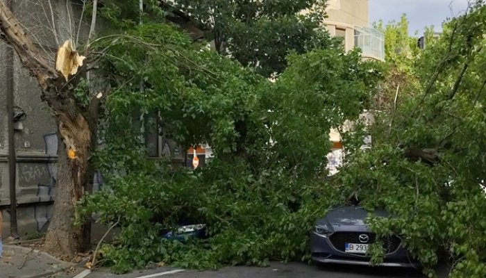 UPDATE. Furtună de cod roșu în București, Ilfov, Ialomița și Călărași