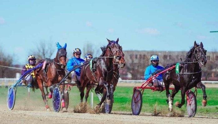 hipodromul ploiești program 20 iulie