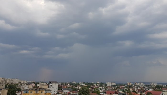 alerta vijelie