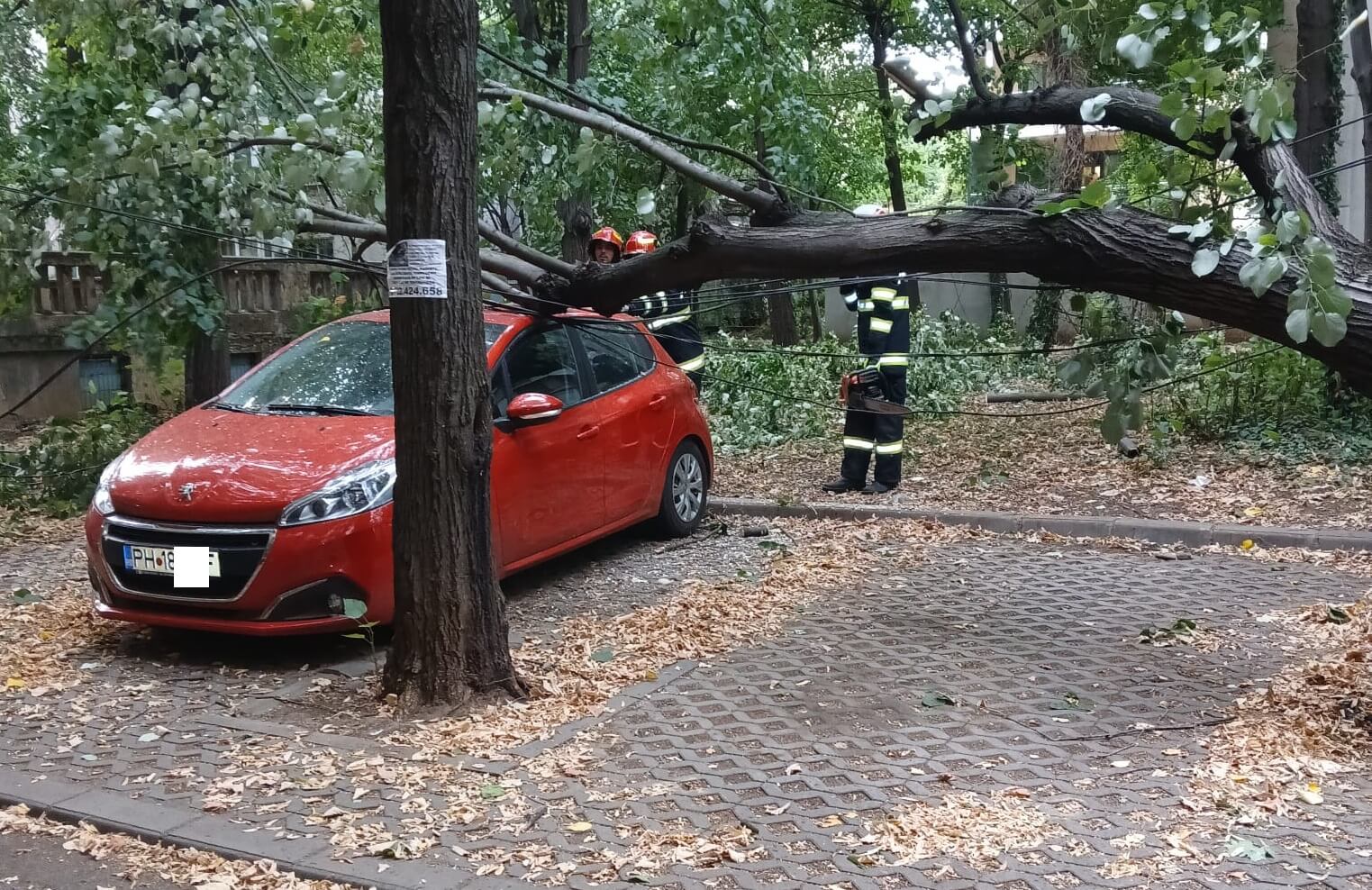 alertă vijelie pagube ploiești