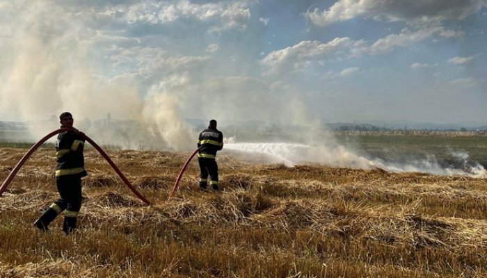 incendiu vegetatie filipești
