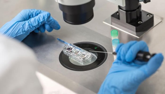 program fertilizare in vitro fiv