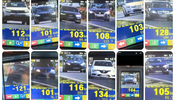 ROADPOL SPEED