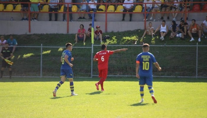 Aluniș Nicoliță
