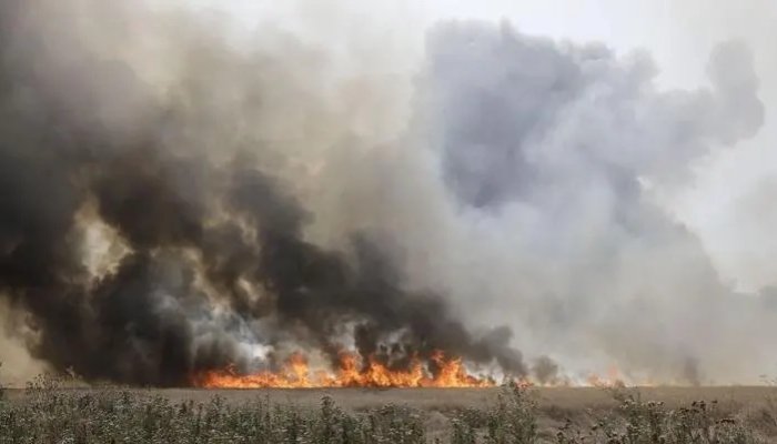 Autostrada Soarelui 
