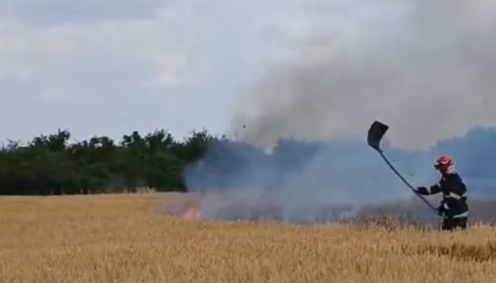 incendiu vegetație bucov