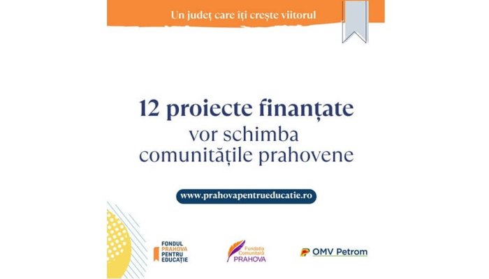 12 proiecte