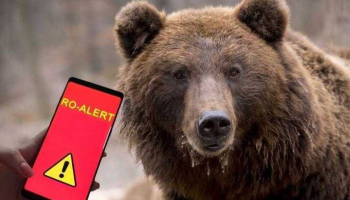 ro-alert urs