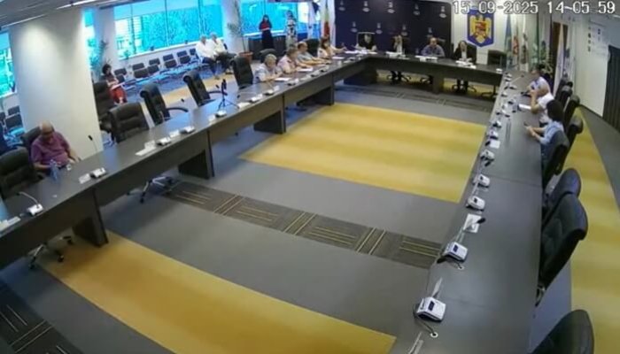 mihai polițeanu consiliul local