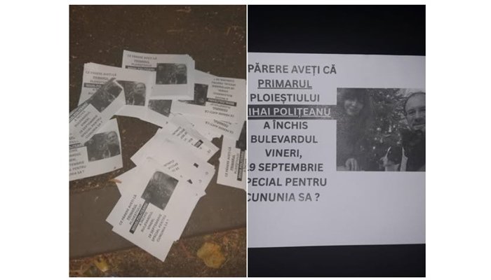 acuzații mihai polițeanu