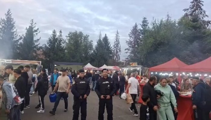 amenzi jandarmi