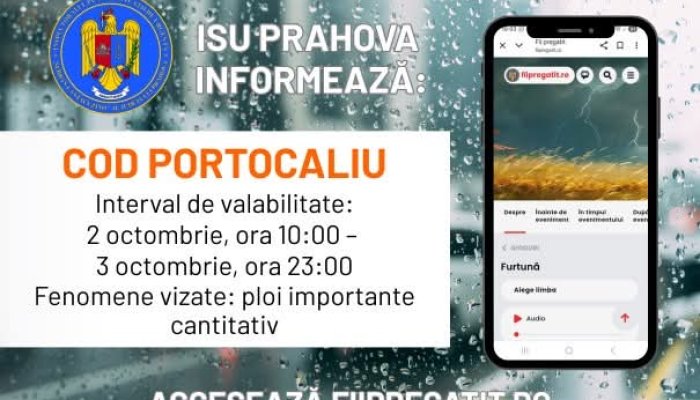 COD PORTOCALIU