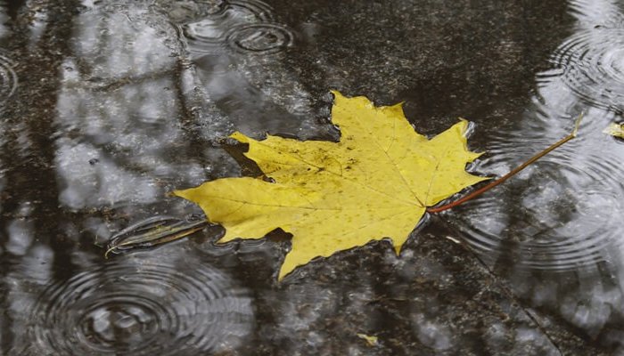 anm prognoza frig toamna