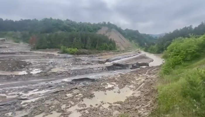 demiteri salrom praid