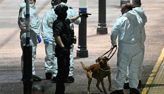 doi bărbați arestați