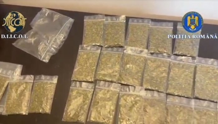 flagrant trafic de droguri ploiesti mizil