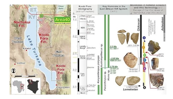 român descoperire începuturile umanității