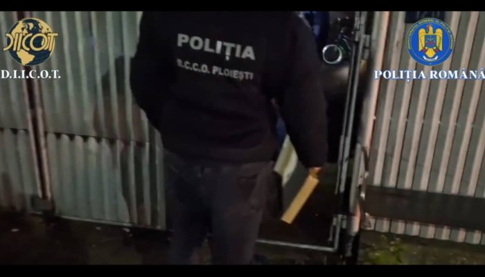 ziua z percheziții trafic droguri prahova dâmbovița