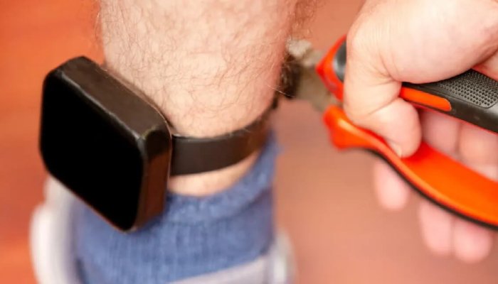 viol monitorizare electronica