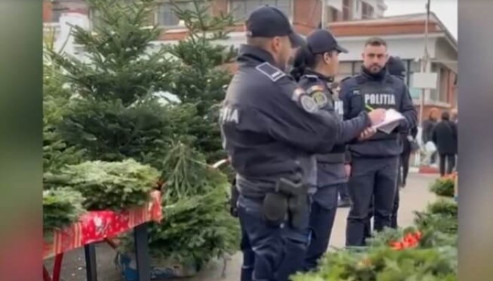 razie halele centrale