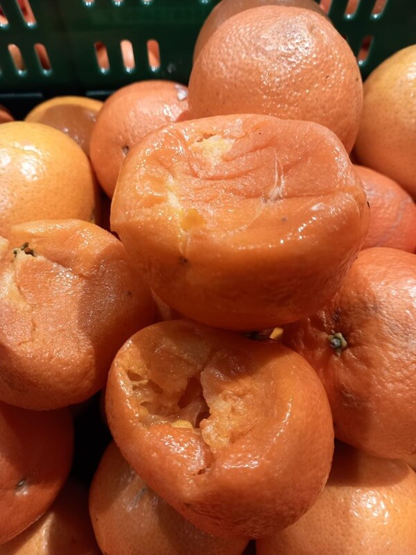 anpc produse alterate alimente controale expirate