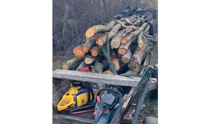 images/2025/12/22/furt_arbori_ploiesti_mimiu.jpg#joomlaImage://local-images/2025/12/22/furt_arbori_ploiesti_mimiu.jpg?width=725&amp;height=400