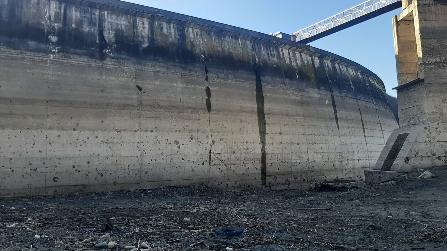 fisuri paltinu apele române