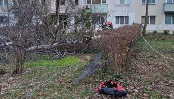 intervenții isu copaci cod roșu vânt