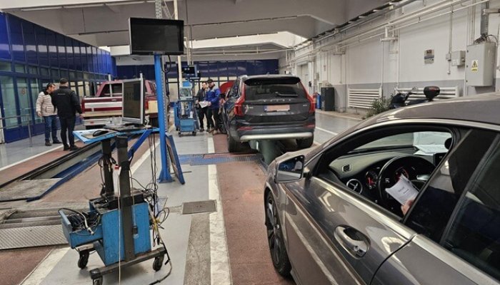 piața auto mașini românia 2025