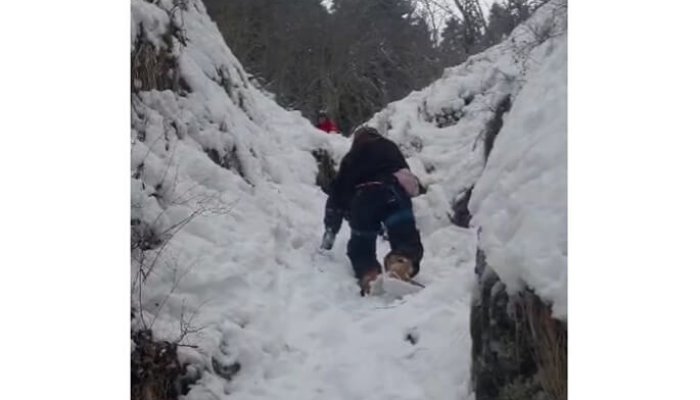 salvamont sinaia turiști rătăciți pârtii bucegi