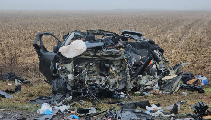 accident șapte morți timiș