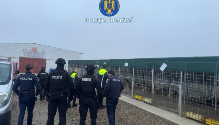 Toți câinii din adăpostul de la Suraia au fost relocați și adoptați. IPJ Vrancea anunță continuarea anchetei penale
