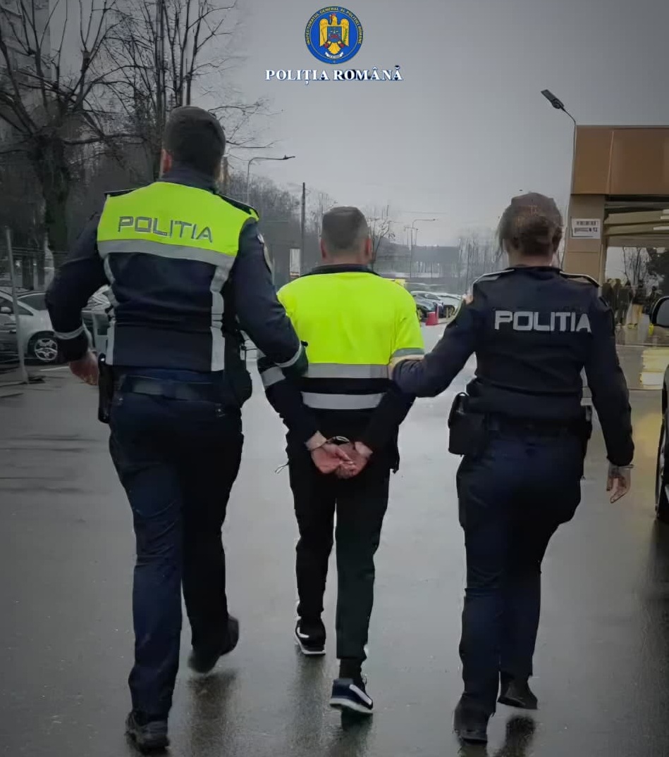 câine chinuit stăpân reținut