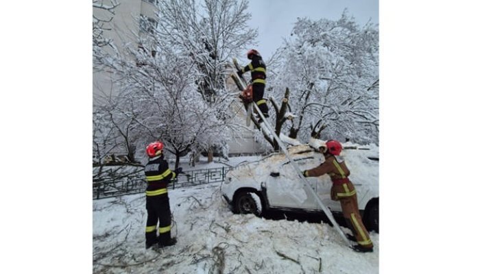 interventii isu ninsori