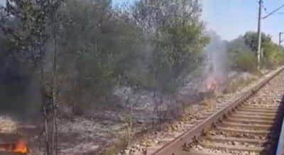 PRAHOVA: Incendiu de vegetație în apropierea unei garnituri de tren care transportă benzină