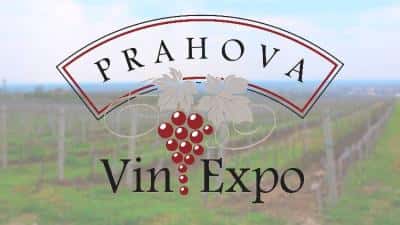 PRAHOVA VIN-EXPO | Expoziţie dedicată vinurilor din Prahova, în această săptămână, la Palatul Culturii din Ploieşti