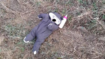 Un bebeluș a fost găsit pe un câmp la scurt timp după ce fusese abandonat 
