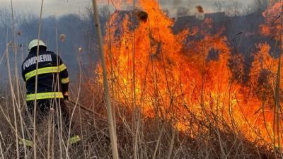 2000 mp de teren au fost cuprinse de foc în zona Parcului Chindia din Târgoviște