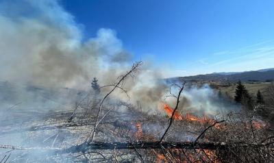 Incendiu de vegetație pe 10 hectare, în zona Comarnic