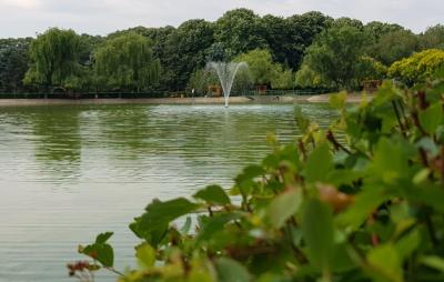 SGU are planuri noi cu lacul de la Sala Sporturilor, dar vrea să afle întâi părerea ploieștenilor